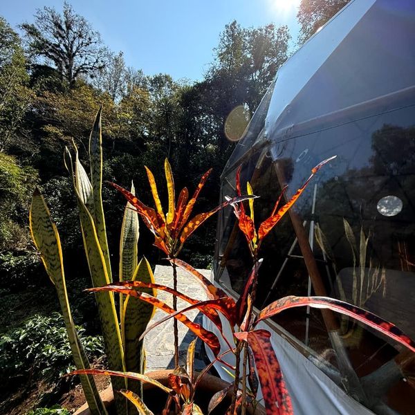 Alma Glamping Xalapa-Coatepec