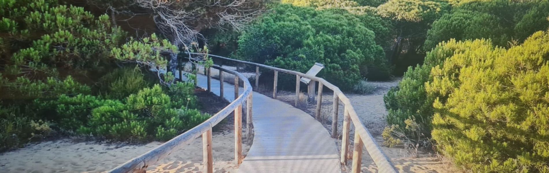 Apartments Luxury Costa