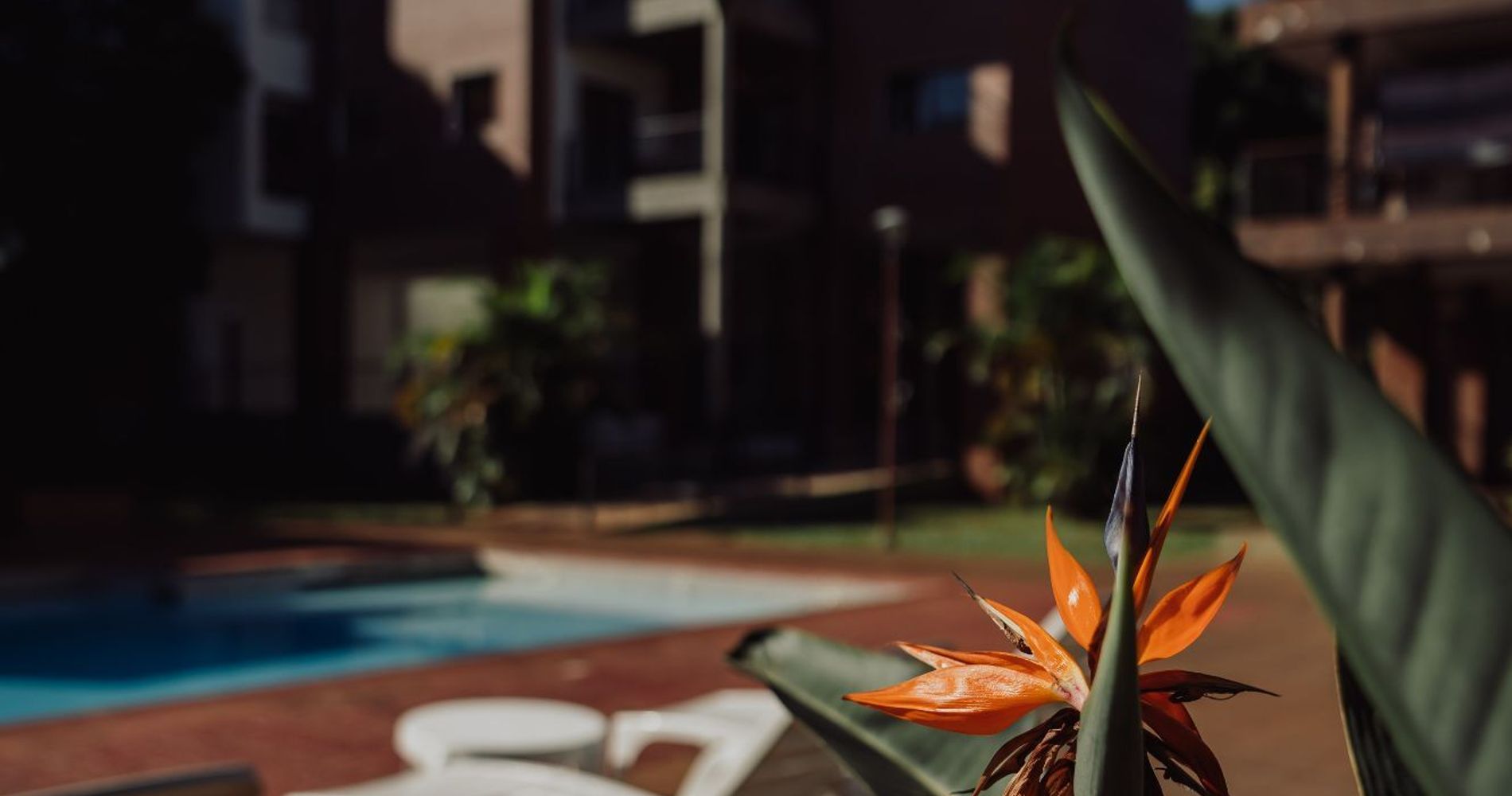 Iguazu Village Rentals