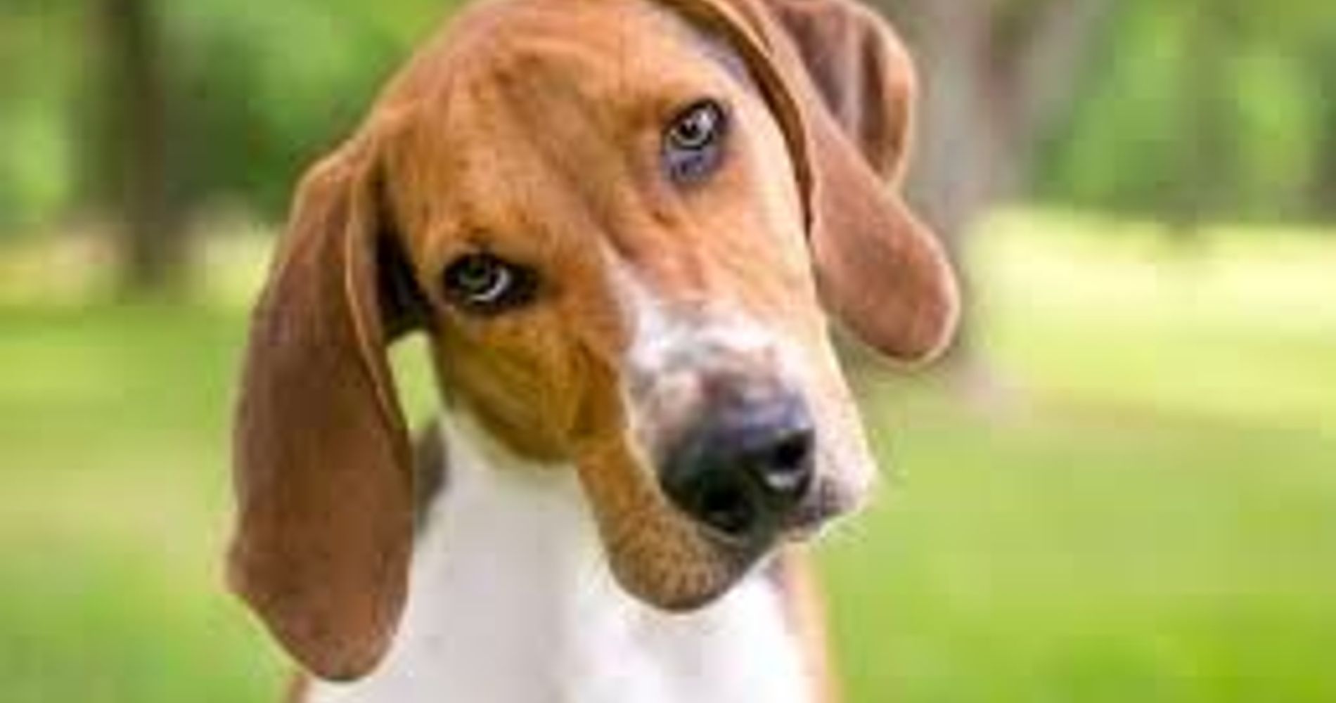 Hotel San Luis Obispo