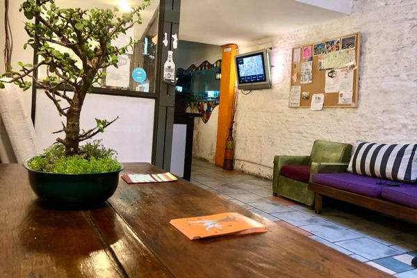 Cama en habitación compartida mixta de 6 camas 205