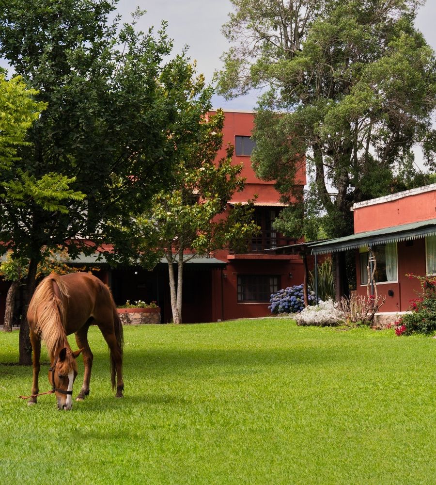 Nuevas Cabañas Del Sol