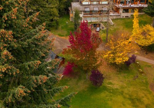 ¡Obtené hasta 50% de reintegro en tu estadía!