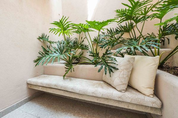 Habitación Superior con Terraza