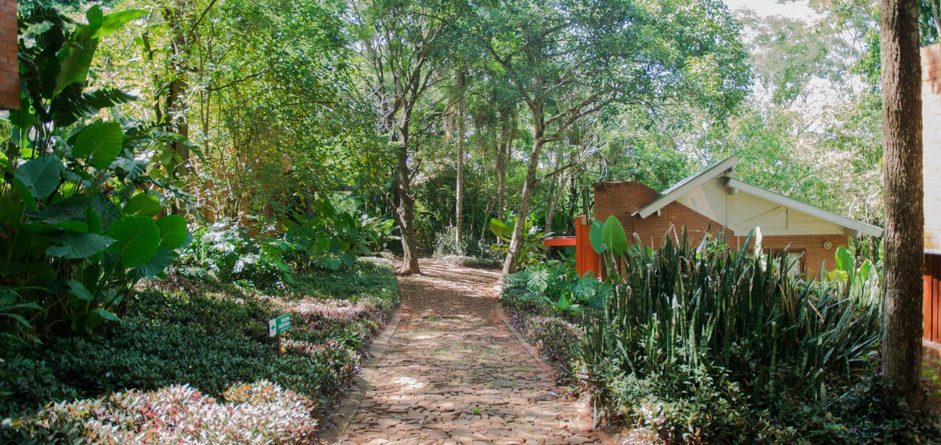 Raíces Amambai Lodges