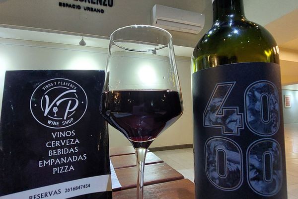 Hotel Raíces Aconcagua