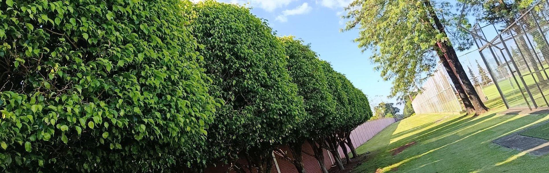 CIDE Hotel & Resort - Convenciones