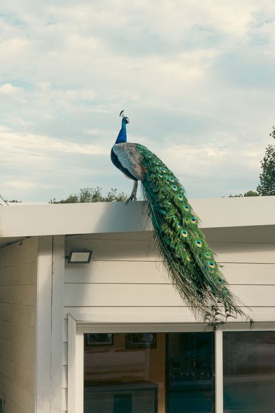 Skyblue Park | Apart Hotel