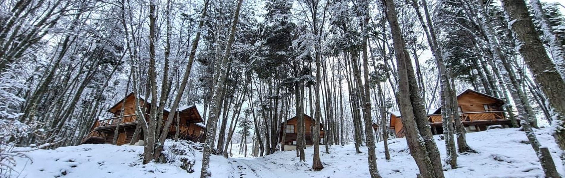 Cabañas Aldea Nevada