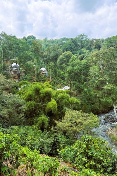 Alma Glamping Xalapa-Coatepec