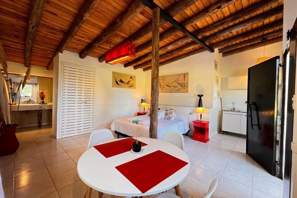 APART AL CAMPO PURA SANGRE