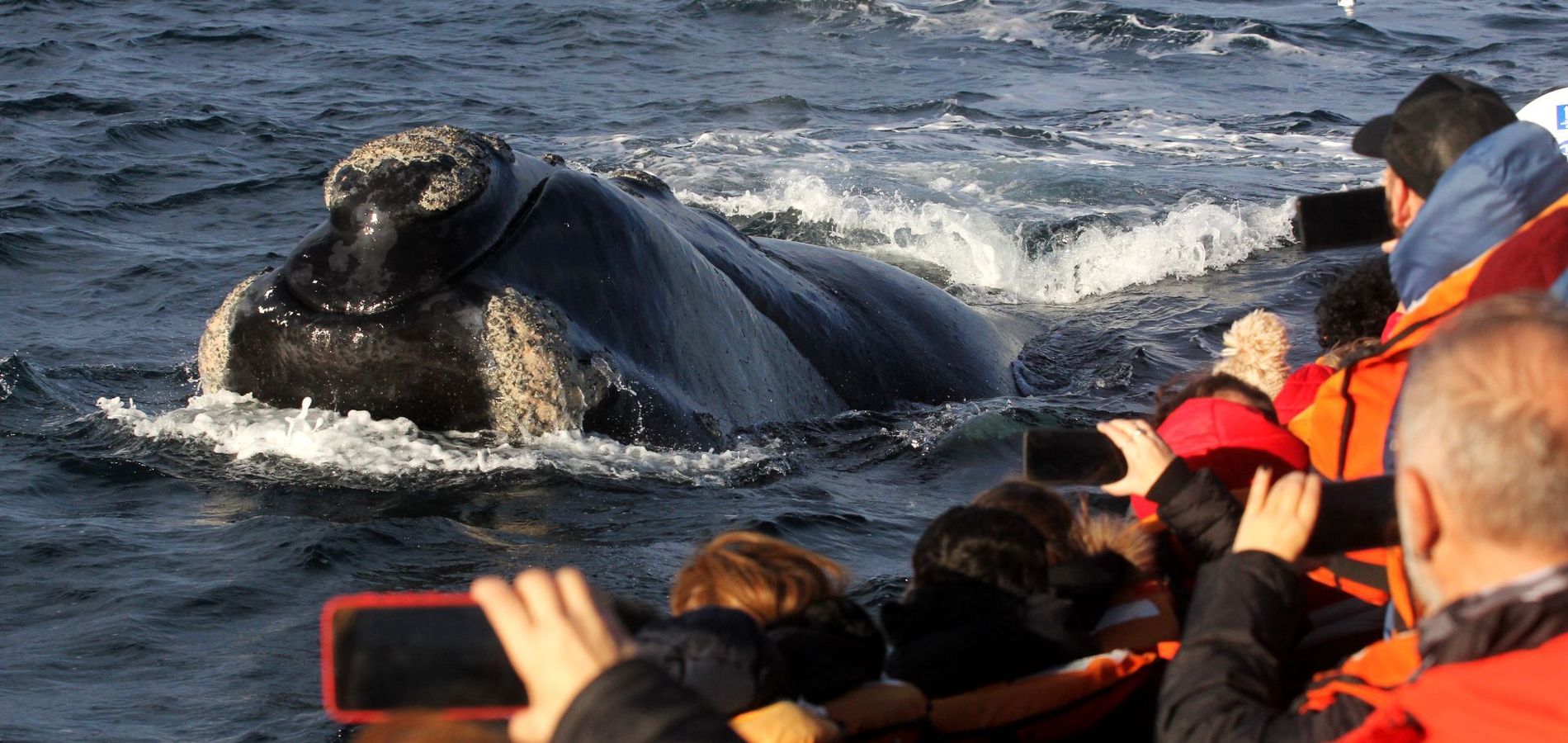 Las Restingas Hotel de Mar