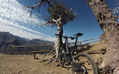 LodgeColbun - Arriendo de Bicicletas