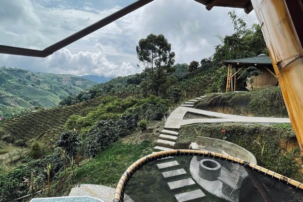 Cabaña Tangara Real