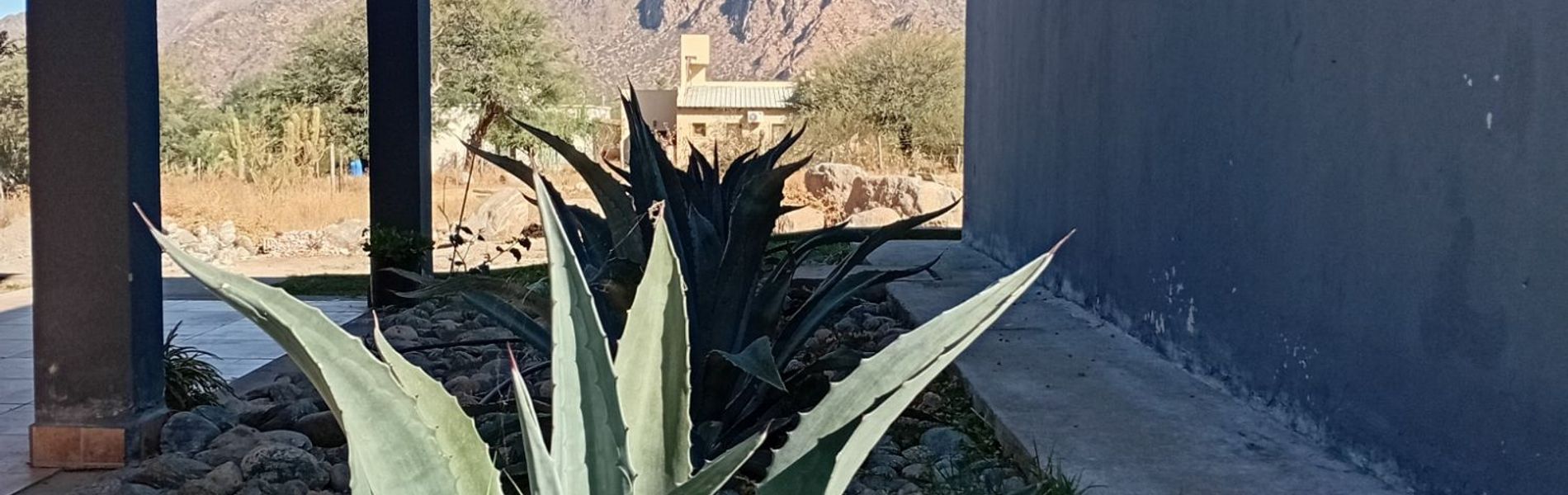 Cabañas Cafayate