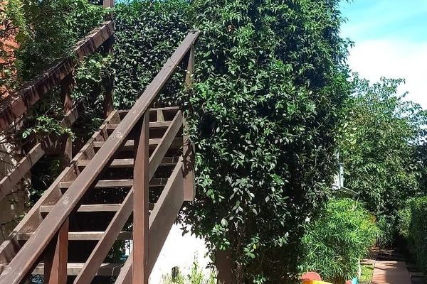 Dúplex  Plus  Planta Alta