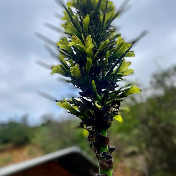 Parque Laguna de Zapallar