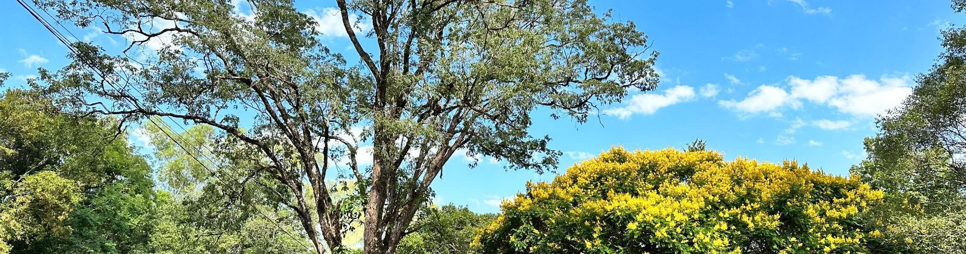 Parque Hotel Manantial