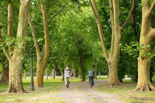 Día de campo Gaucho