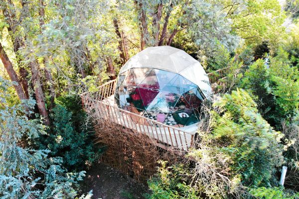 Domo La Flor de la Vida