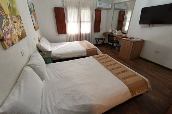 Habitación Suite Vista Selva