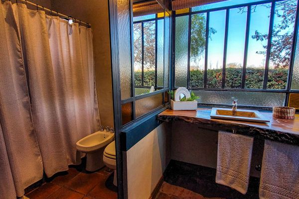 Suite Superior Petroleo 