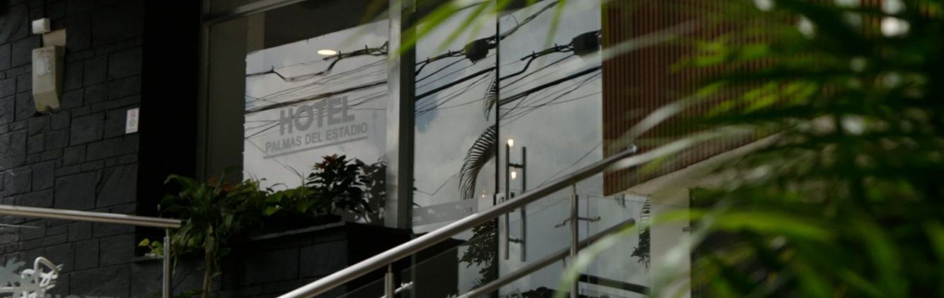 Hotel Palmas Del Estadio