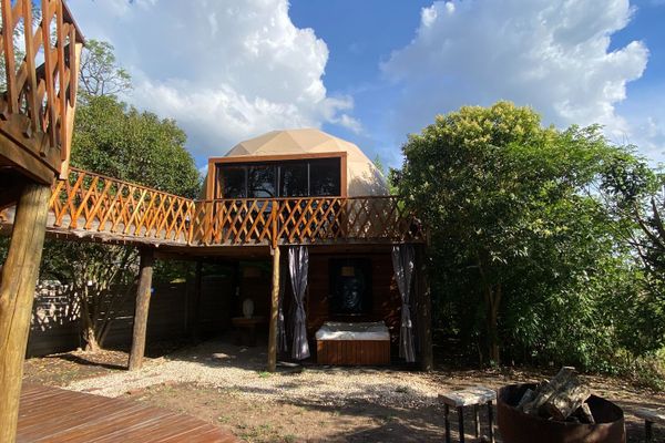 Domo Ilusión Silvestre