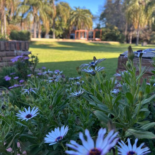 Parador15 Apart Hotel Resort & Eventos