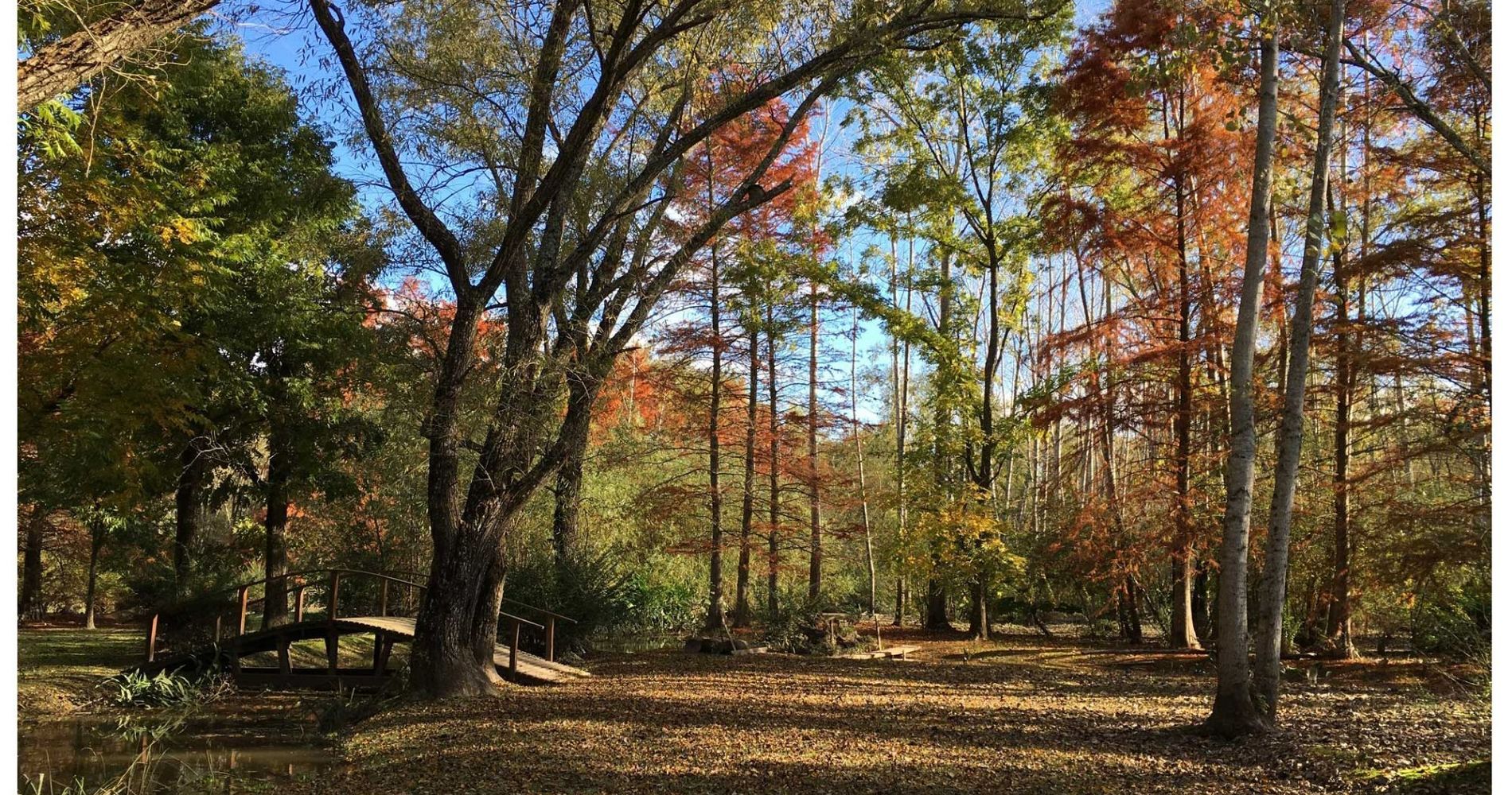 Bosque de Bohemia. Alquiler Temporario. Delta Tigre