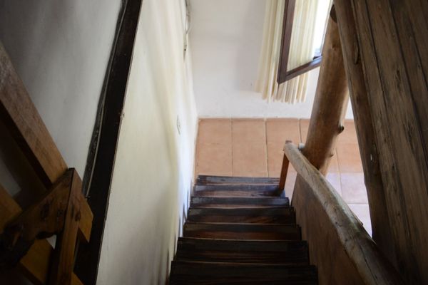 Eucaliptos - hasta 6 pax 