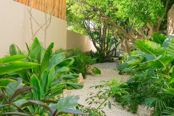 Kaab estudio by the beach