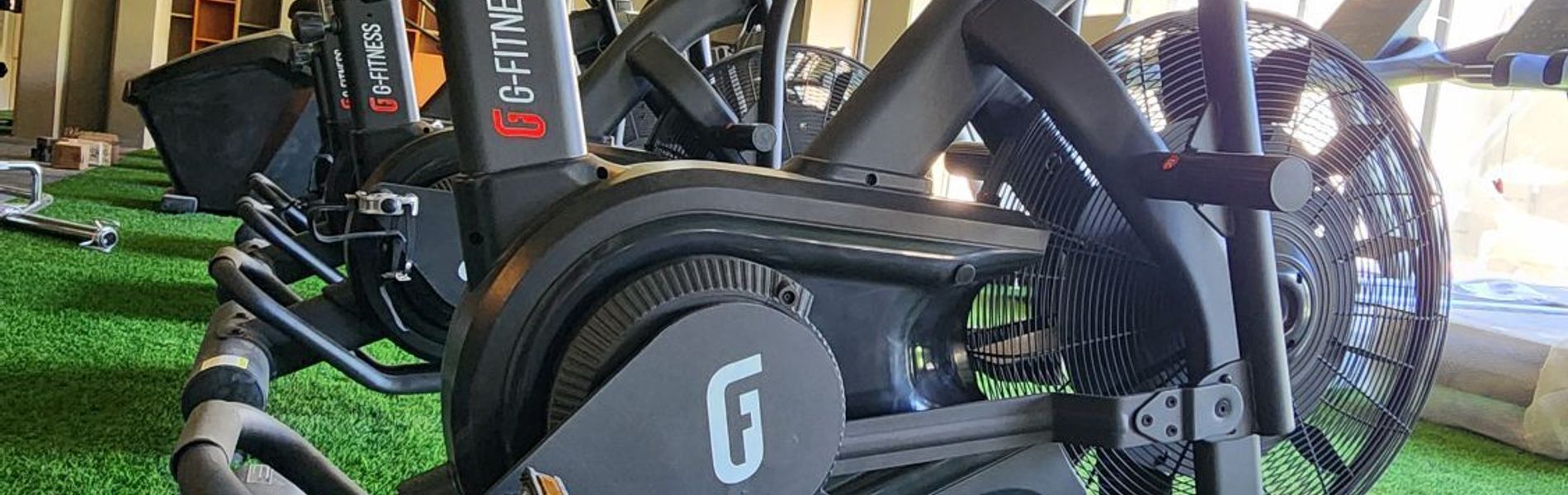 Hôtel Raices Aconcagua