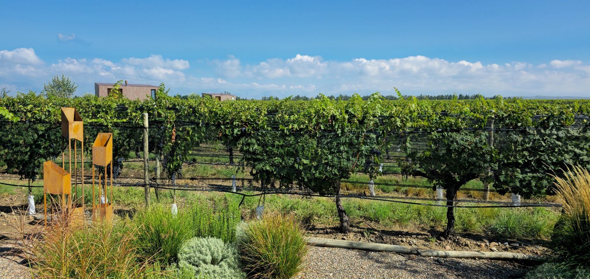 Andeluna Winery Lodge