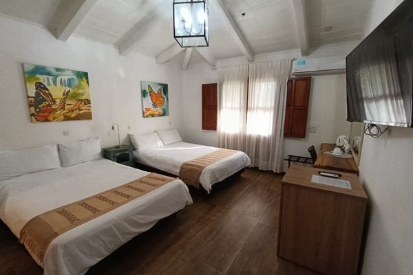 Habitación Suite Vista Selva