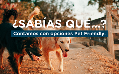 LoftyDepartamentosTemporarios - Somos Pet friendly