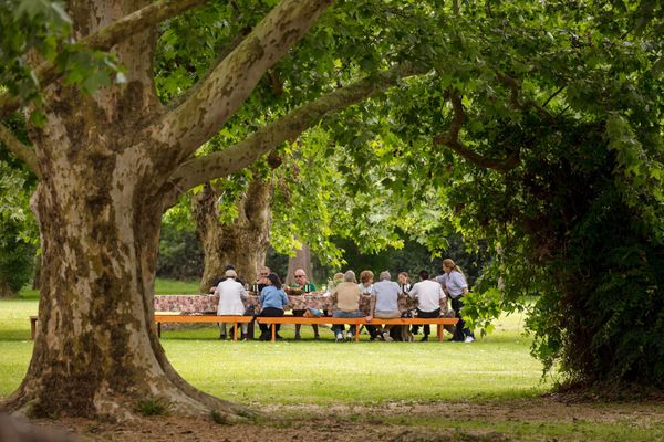 Día de campo Gaucho