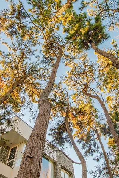 Runa Moraira Apart & Spa