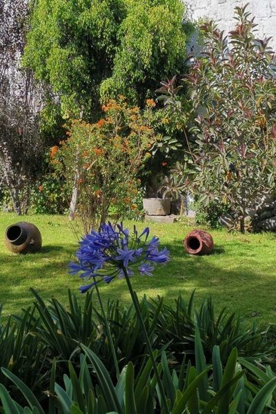 Nuestro jardín, un espacio para descansar y recargar energías.