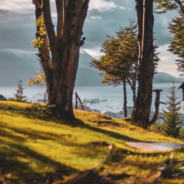 Cabañas Aldea Nevada