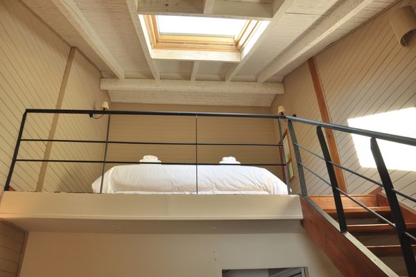 Junior Suite con vista al bosque 