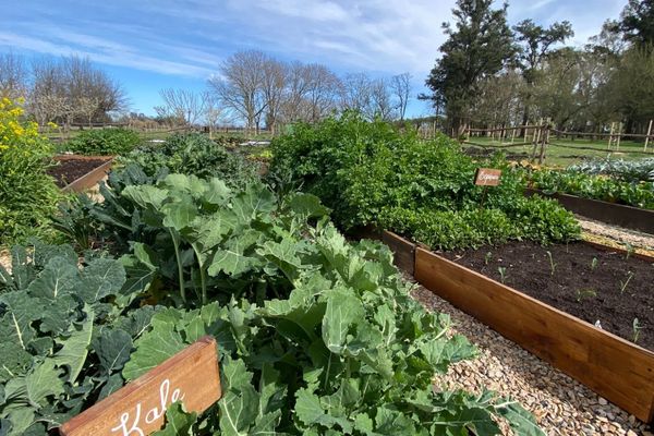 Día de campo Gaucho