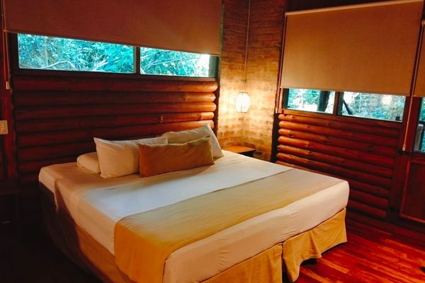 Habitación Doble Matrimonial Suite Junior