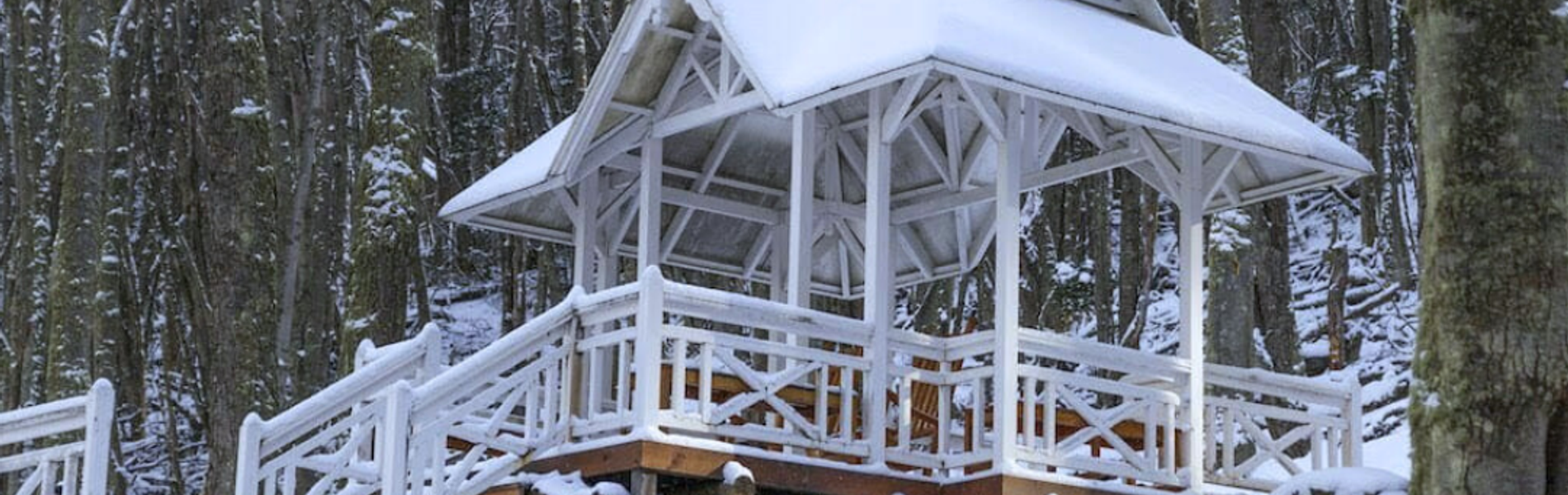 Cabañas Aldea Nevada