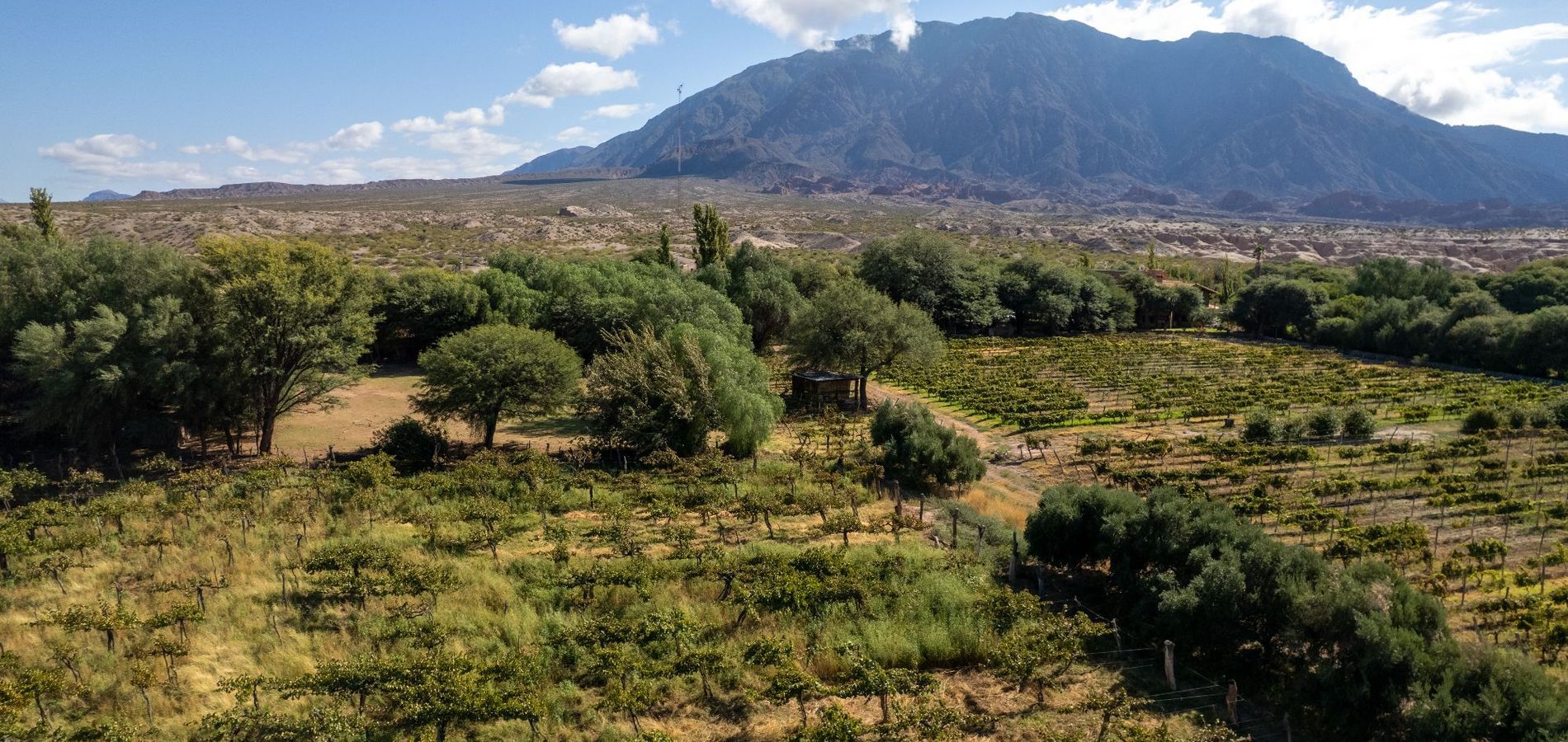 La Casa De La Bodega - Wine Boutique Hotel