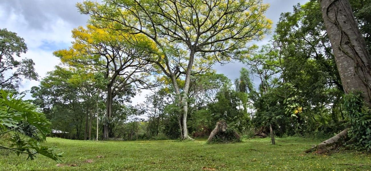 Hotel Las Brisas & Restaurant