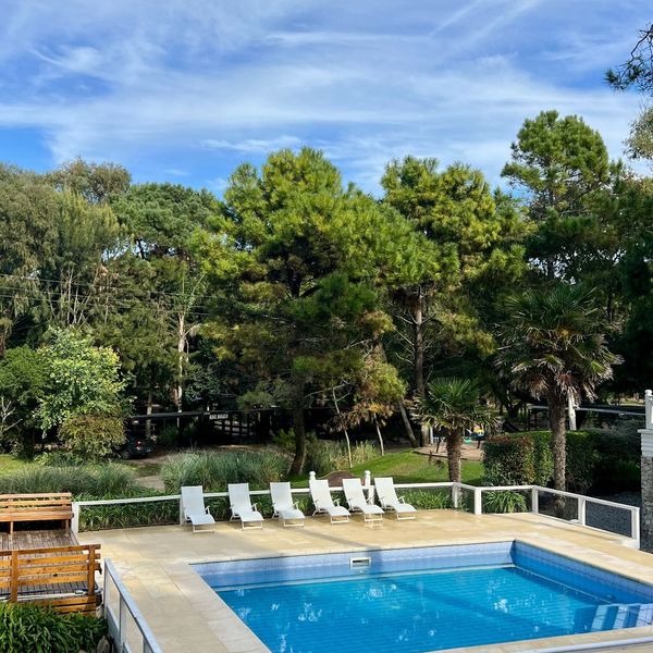 Miradores del Bosque Apart Spa