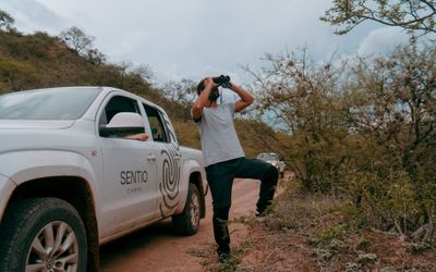 SentioCampsSalta - Traslados Regulares