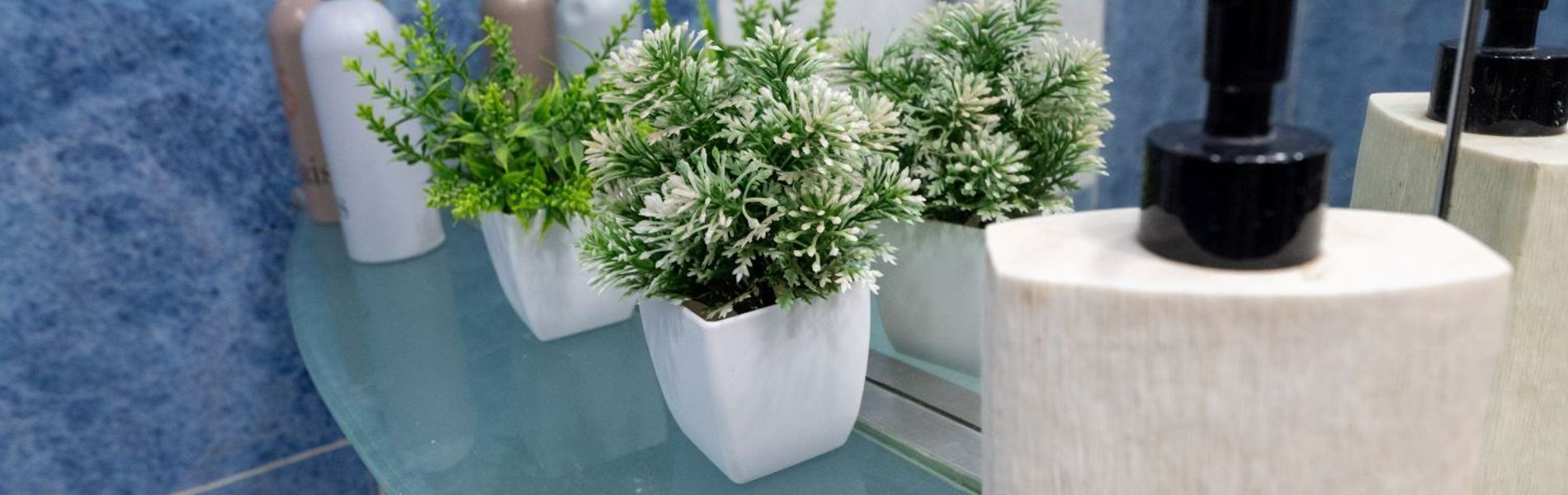 Mendoza Sol y Nieve :: Ciudad