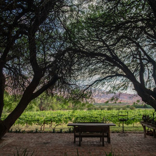 La Casa De La Bodega - Wine Boutique Hotel